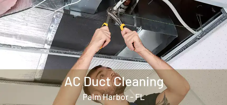 AC Duct Cleaning Palm Harbor - FL
