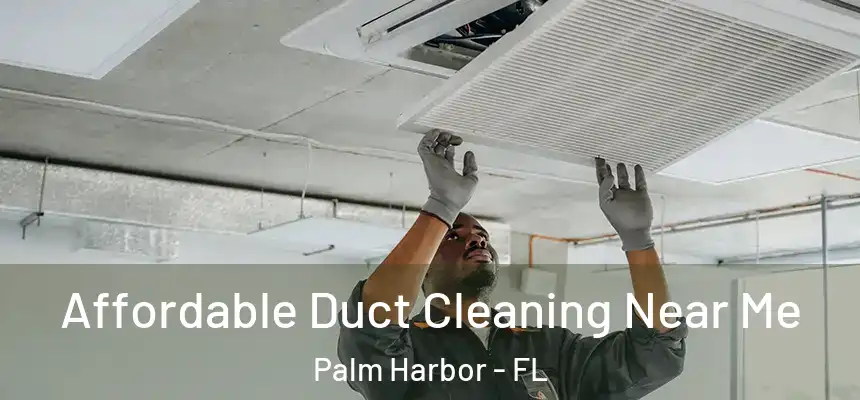 Affordable Duct Cleaning Near Me Palm Harbor - FL