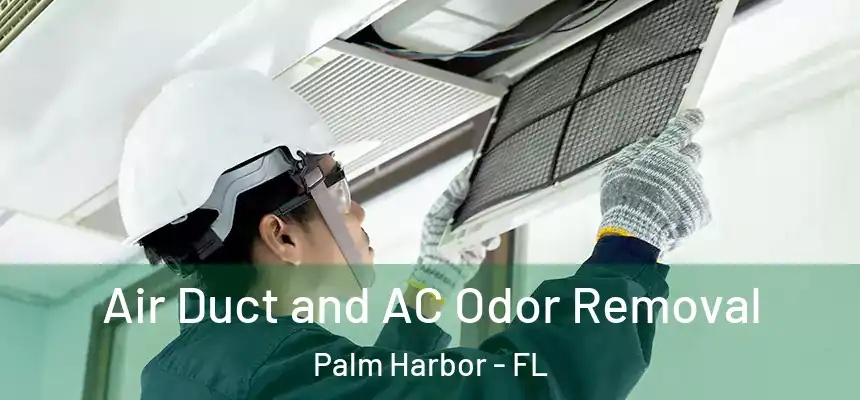 Air Duct and AC Odor Removal Palm Harbor - FL