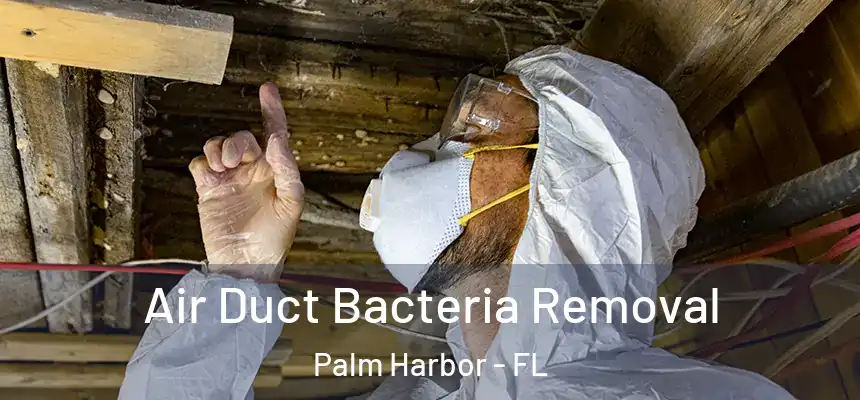 Air Duct Bacteria Removal Palm Harbor - FL