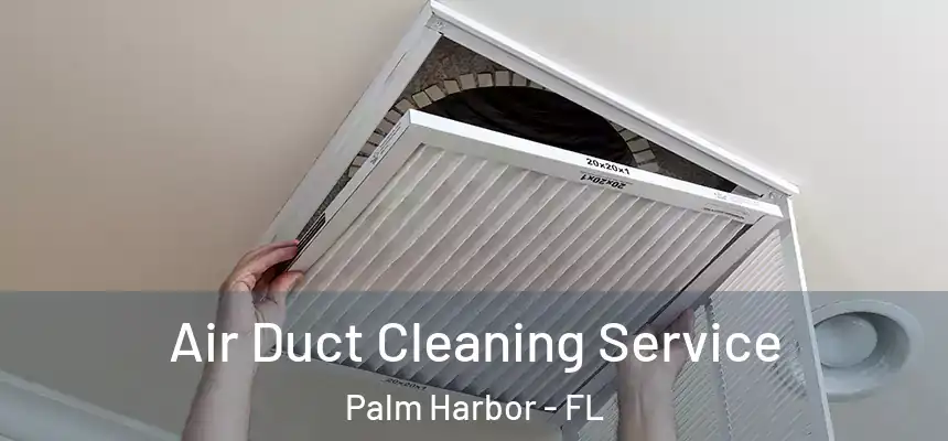 Air Duct Cleaning Service Palm Harbor - FL