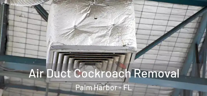 Air Duct Cockroach Removal Palm Harbor - FL
