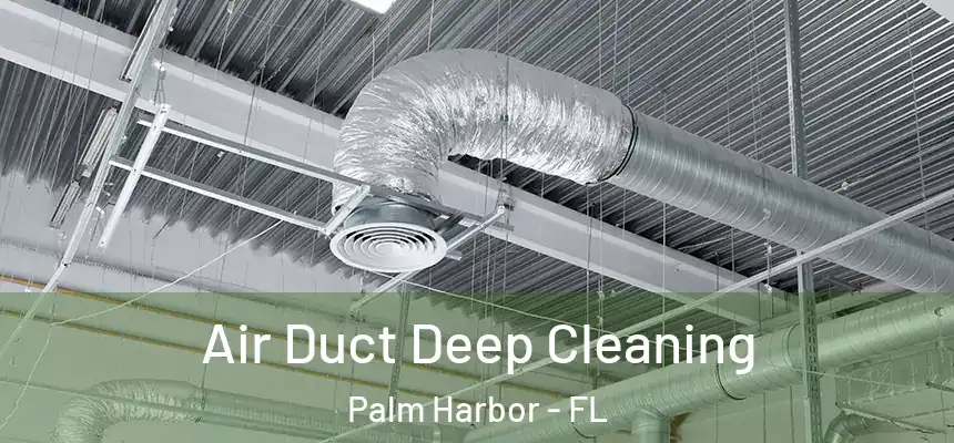 Air Duct Deep Cleaning Palm Harbor - FL