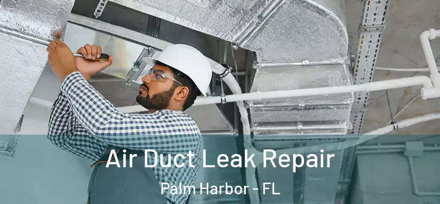 Air Duct Leak Repair Palm Harbor - FL