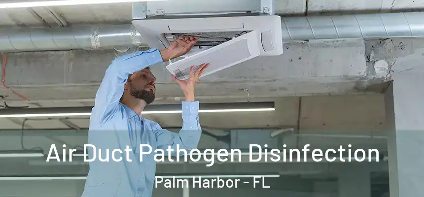 Air Duct Pathogen Disinfection Palm Harbor - FL