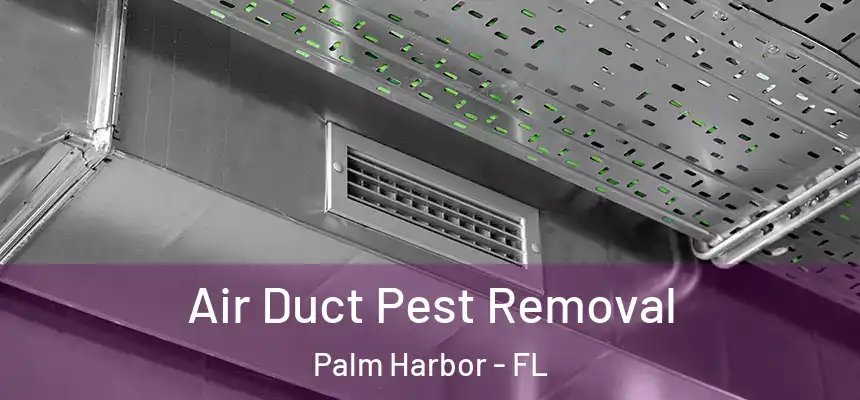 Air Duct Pest Removal Palm Harbor - FL