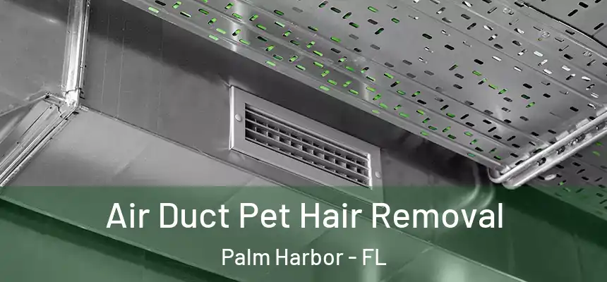 Air Duct Pet Hair Removal Palm Harbor - FL