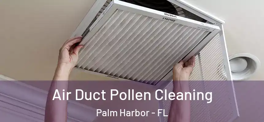Air Duct Pollen Cleaning Palm Harbor - FL