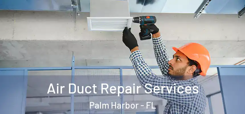 Air Duct Repair Services Palm Harbor - FL