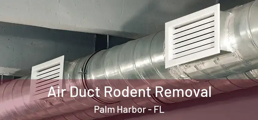 Air Duct Rodent Removal Palm Harbor - FL