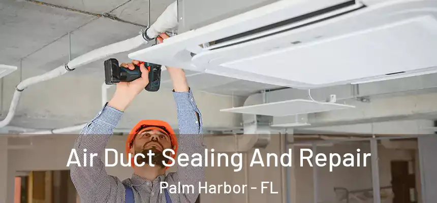 Air Duct Sealing And Repair Palm Harbor - FL