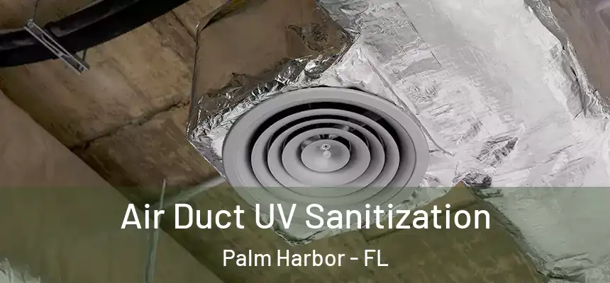 Air Duct UV Sanitization Palm Harbor - FL