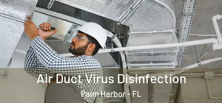 Air Duct Virus Disinfection Palm Harbor - FL