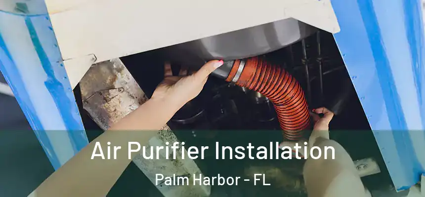 Air Purifier Installation Palm Harbor - FL