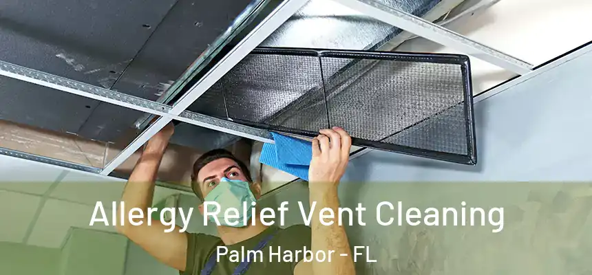 Allergy Relief Vent Cleaning Palm Harbor - FL
