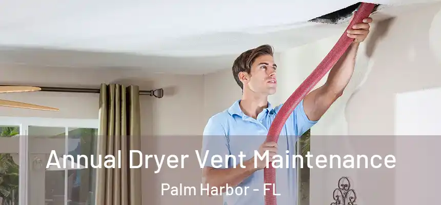 Annual Dryer Vent Maintenance Palm Harbor - FL
