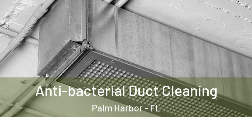 Anti-bacterial Duct Cleaning Palm Harbor - FL