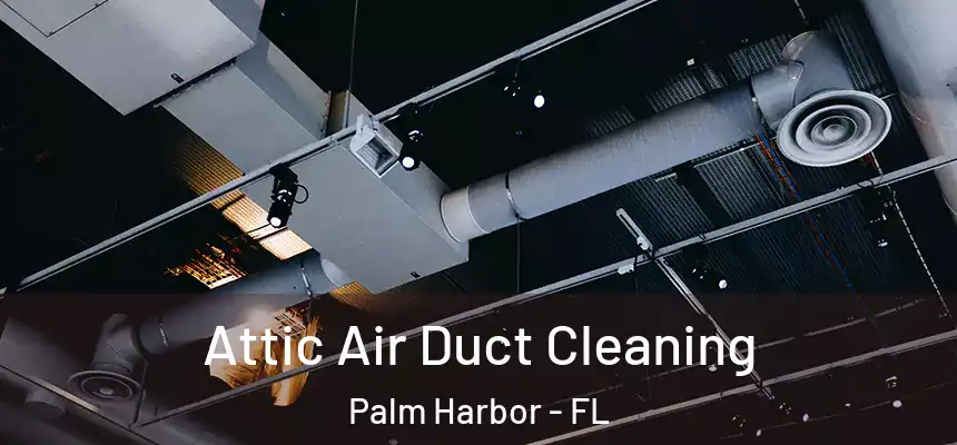 Attic Air Duct Cleaning Palm Harbor - FL