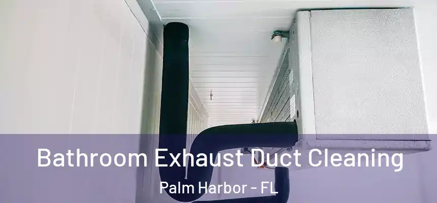 Bathroom Exhaust Duct Cleaning Palm Harbor - FL