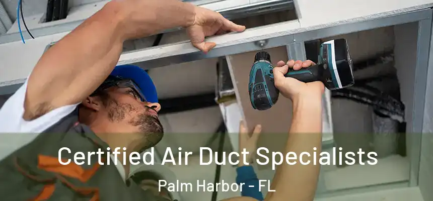 Certified Air Duct Specialists Palm Harbor - FL