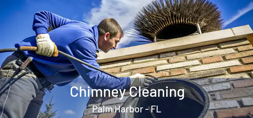 Chimney Cleaning Palm Harbor - FL