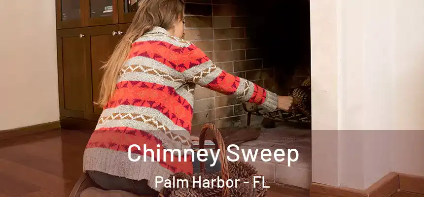 Chimney Sweep Palm Harbor - FL