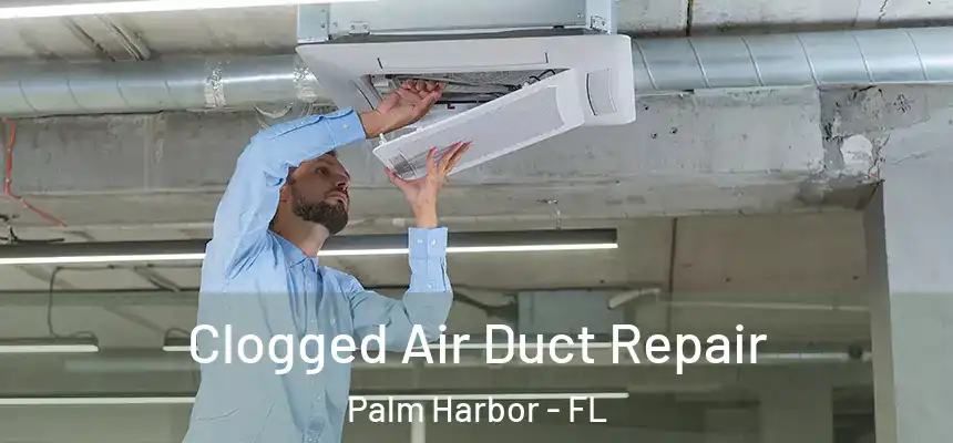 Clogged Air Duct Repair Palm Harbor - FL