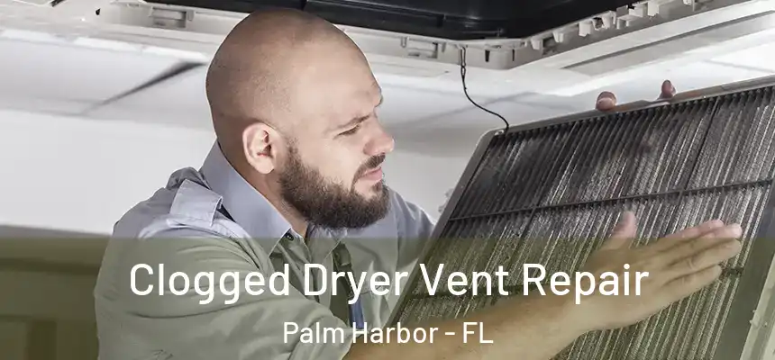 Clogged Dryer Vent Repair Palm Harbor - FL
