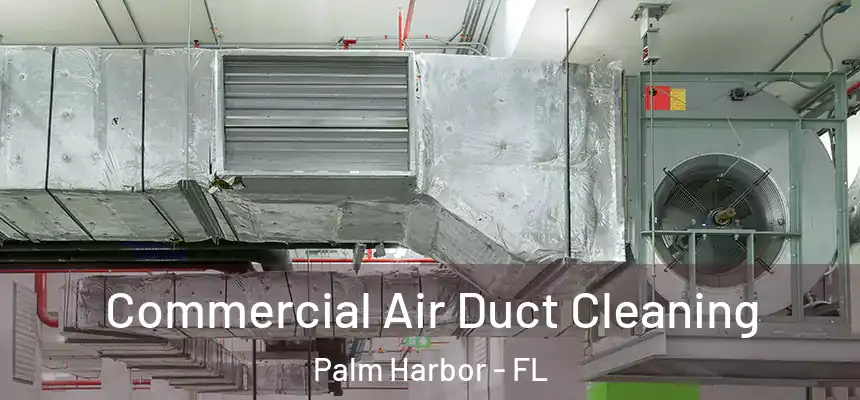Commercial Air Duct Cleaning Palm Harbor - FL