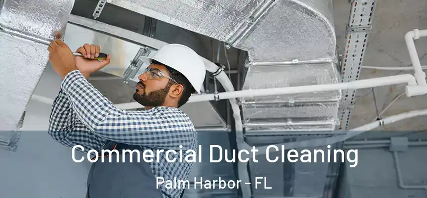 Commercial Duct Cleaning Palm Harbor - FL