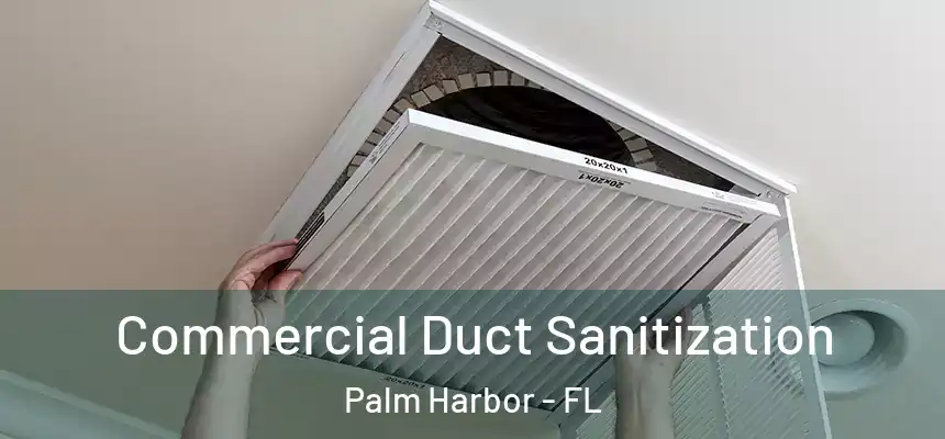 Commercial Duct Sanitization Palm Harbor - FL