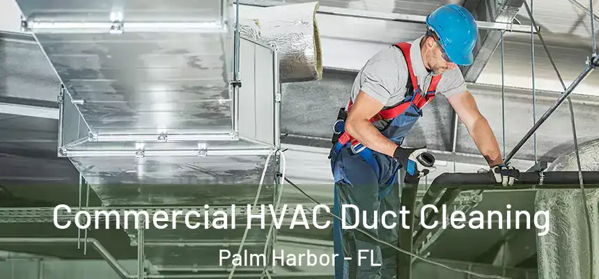 Commercial HVAC Duct Cleaning Palm Harbor - FL