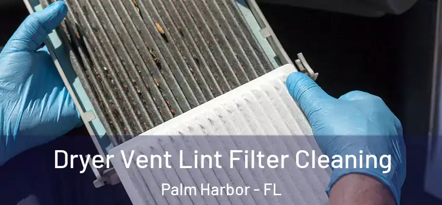 Dryer Vent Lint Filter Cleaning Palm Harbor - FL