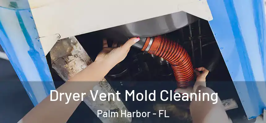 Dryer Vent Mold Cleaning Palm Harbor - FL