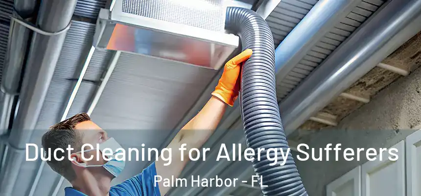 Duct Cleaning for Allergy Sufferers Palm Harbor - FL