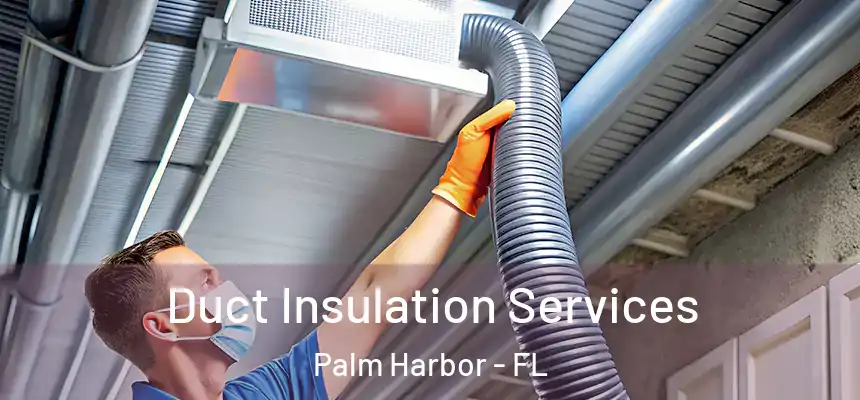 Duct Insulation Services Palm Harbor - FL