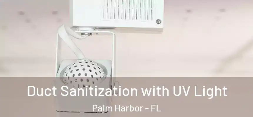 Duct Sanitization with UV Light Palm Harbor - FL