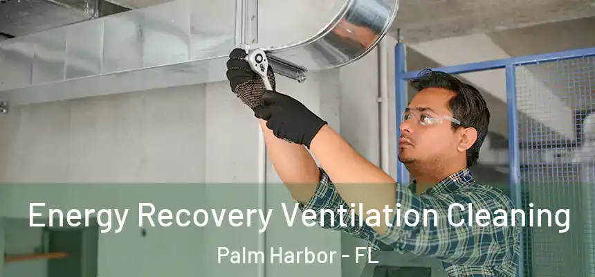 Energy Recovery Ventilation Cleaning Palm Harbor - FL