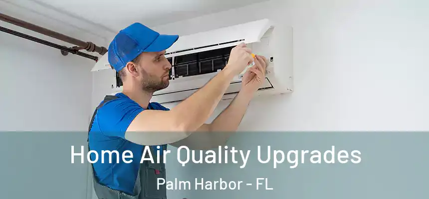 Home Air Quality Upgrades Palm Harbor - FL
