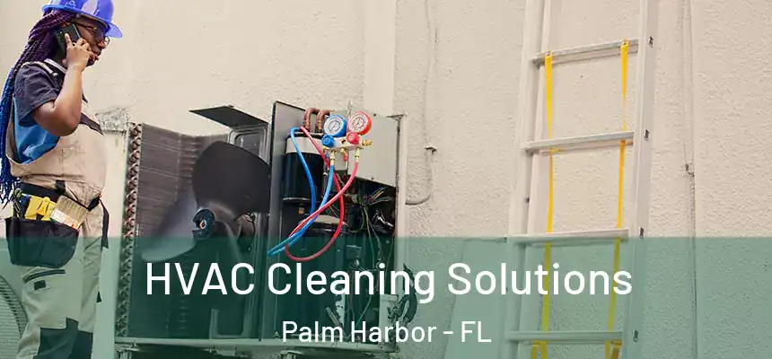HVAC Cleaning Solutions Palm Harbor - FL