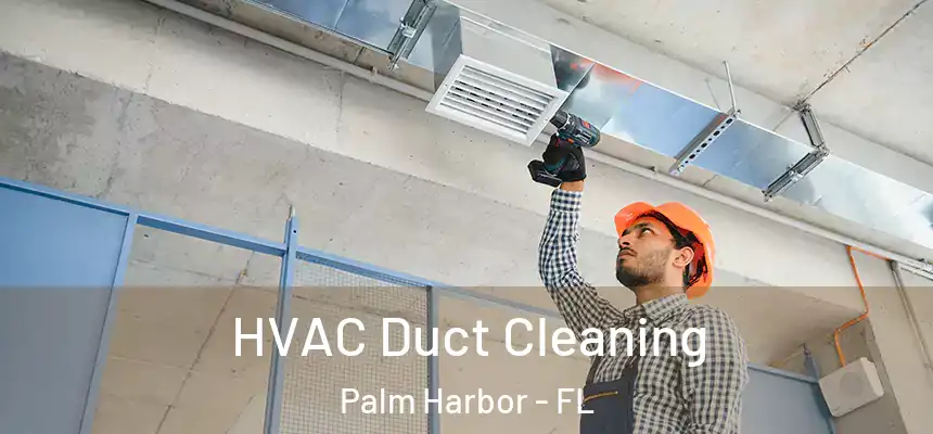 HVAC Duct Cleaning Palm Harbor - FL