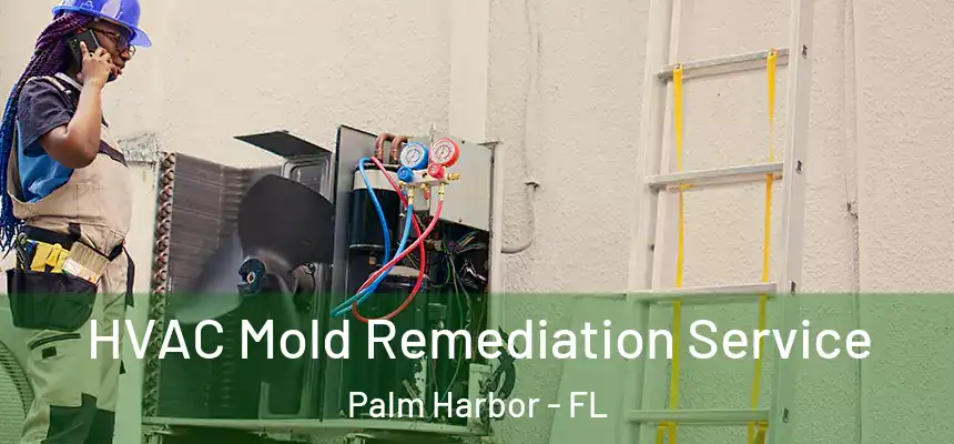 HVAC Mold Remediation Service Palm Harbor - FL