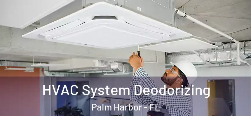  HVAC System Deodorizing Palm Harbor - FL