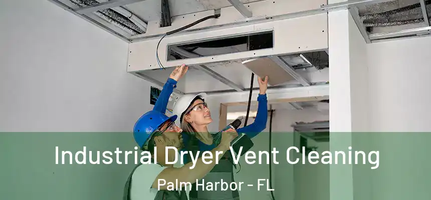 Industrial Dryer Vent Cleaning Palm Harbor - FL