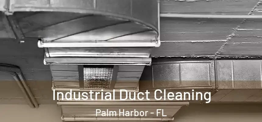 Industrial Duct Cleaning Palm Harbor - FL