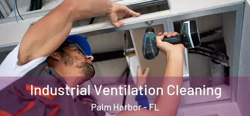 Industrial Ventilation Cleaning Palm Harbor - FL