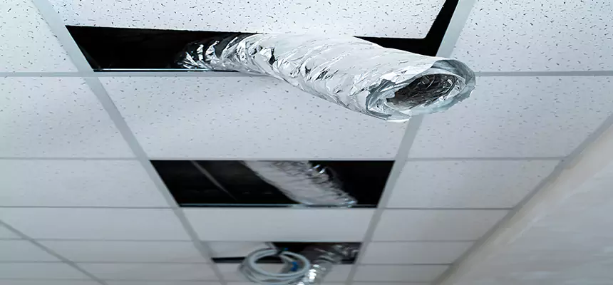 Our Air Duct Pet Hair Removal Services in Palm Harbor, FL