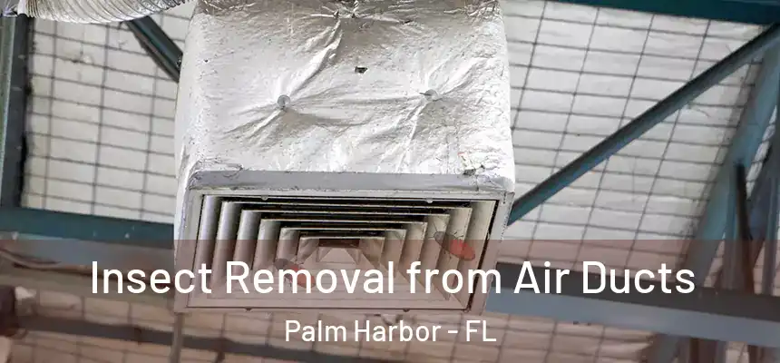 Insect Removal from Air Ducts Palm Harbor - FL