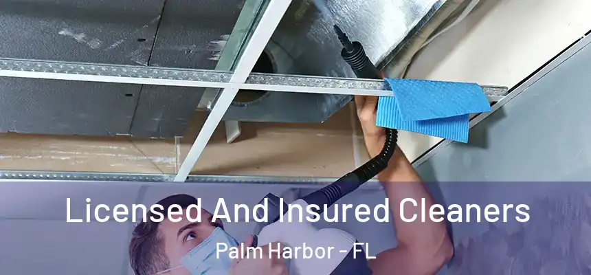 Licensed And Insured Cleaners Palm Harbor - FL