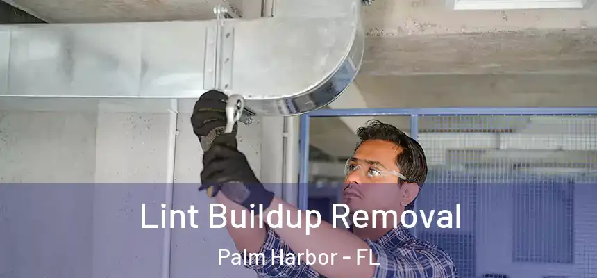 Lint Buildup Removal Palm Harbor - FL